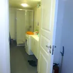 Trondhjemsvegen